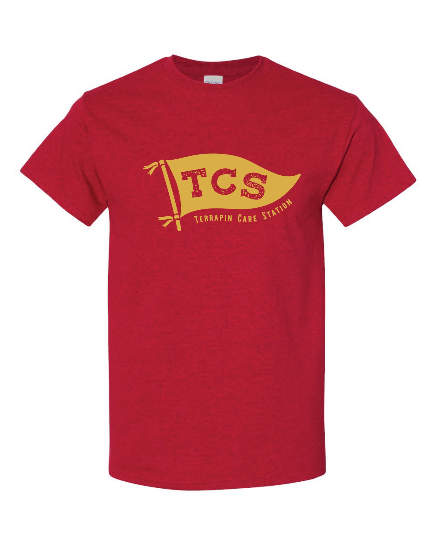 TCS Flag Tee